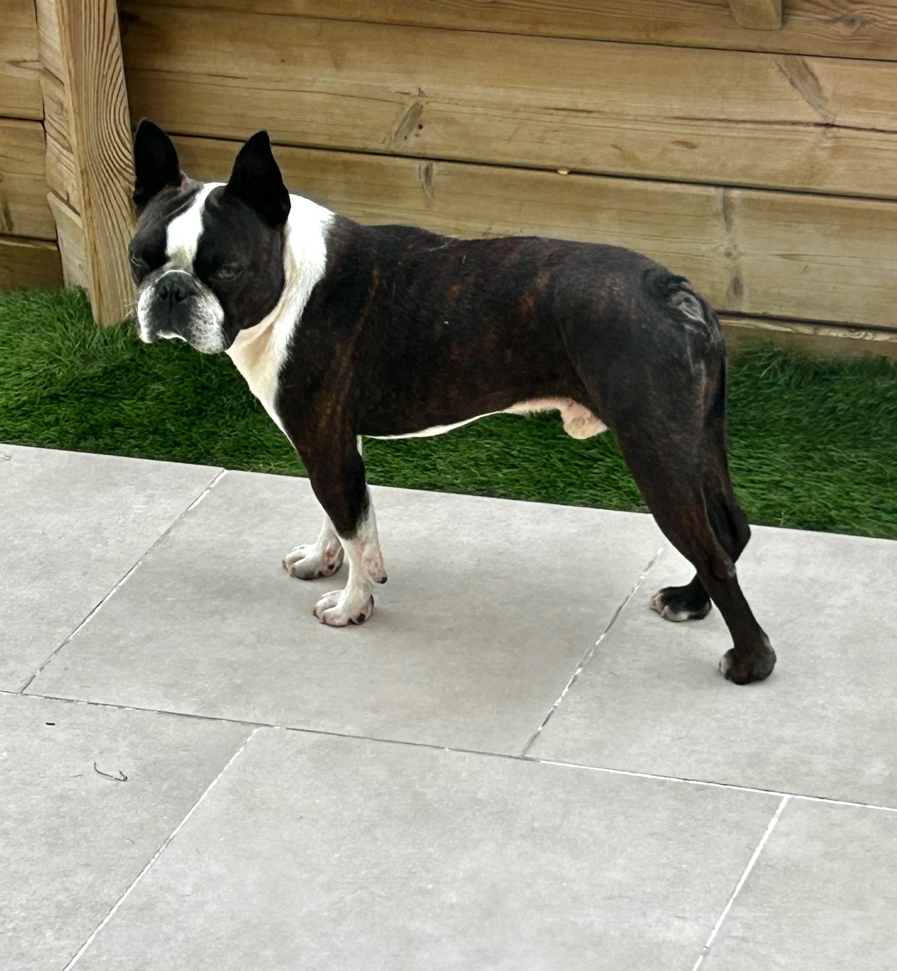 Chan Chue Prince georges