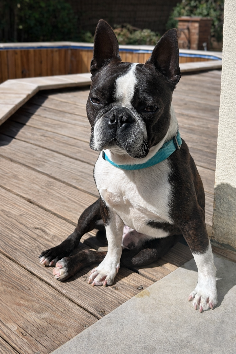 Chan Chue Prince georges