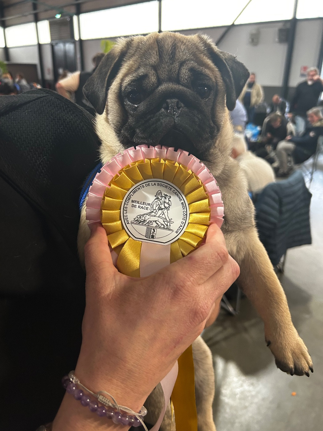 Alfred  Des Joyaux De Tsar